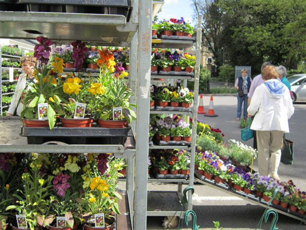 From hanging baskets to fruit trees, there's plenty to browse.