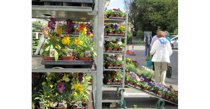 Cobalt Spring Event in Cheltenham