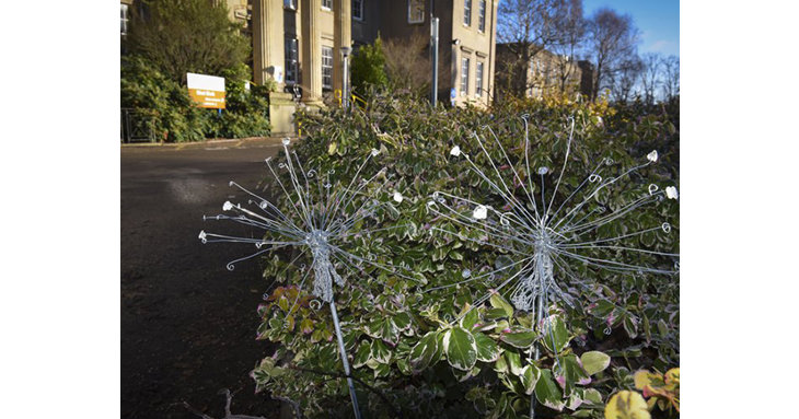 The appeal is asking people to dedicate a dandelion to help give Gloucester Royal Hospital a tranquil green space for staff to relax.