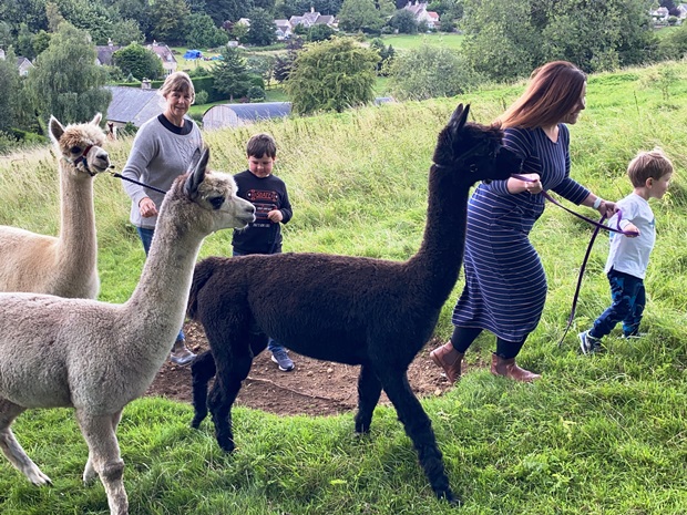The alpaca walks are suitable for adults and children - for a unique family day out.