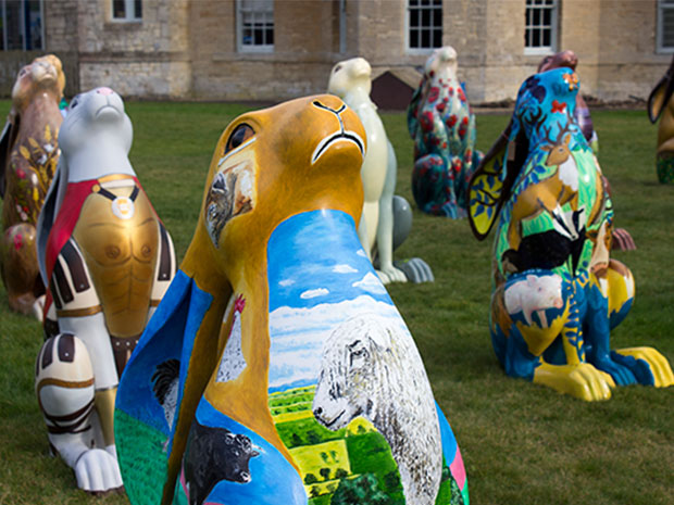 Brose the hare during a pre-auction viewing in Cirencester.