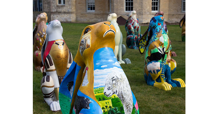 Brose the hare during a pre-auction viewing in Cirencester.
