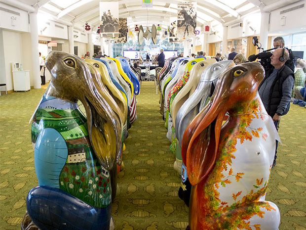 Cotswolds AONB Hare Trail set to launch this May