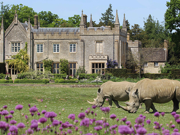 Cotswold Wildlife Park is reopening in June