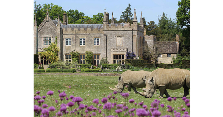 New safety measures have been put in place at Cotswold Wildlife Park, so everyone can enjoy seeing the animals while maintaining social distancing.