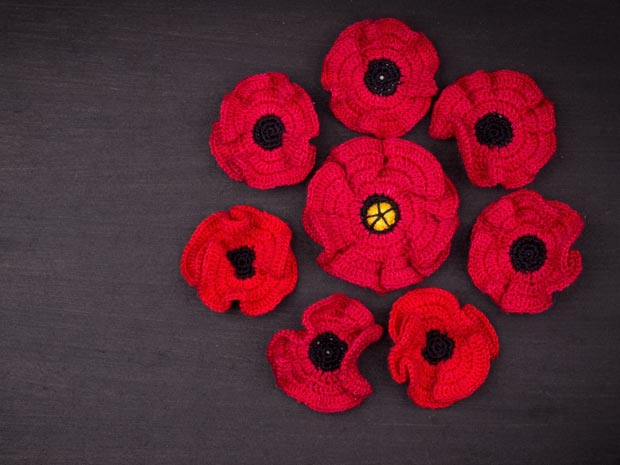 Crocheted poppy display at University of Gloucestershire