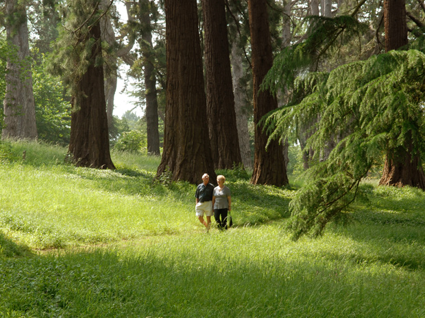 Eastnor Castle introduces Mellow Mondays