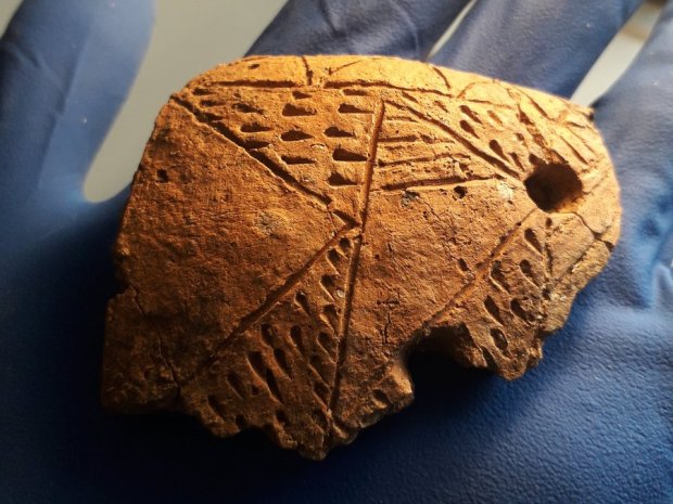 Learn all about the history of the Cotswolds at Corinium Museums Festival of Archaeology in Cirencester.