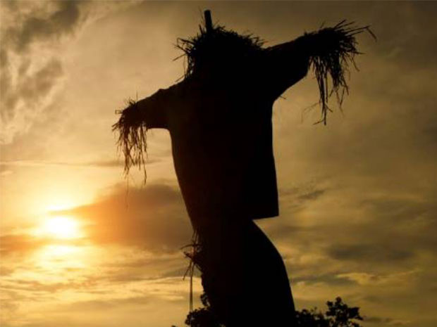 Get into the spooky spirit during Fright Night at Cotswold Farm Park.