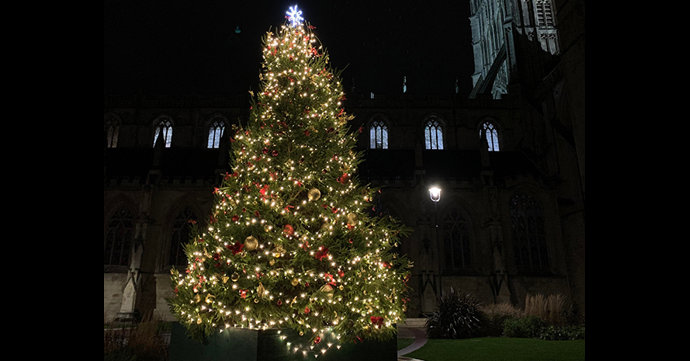 Gloucester Cathedral puts up its biggest ever Christmas tree