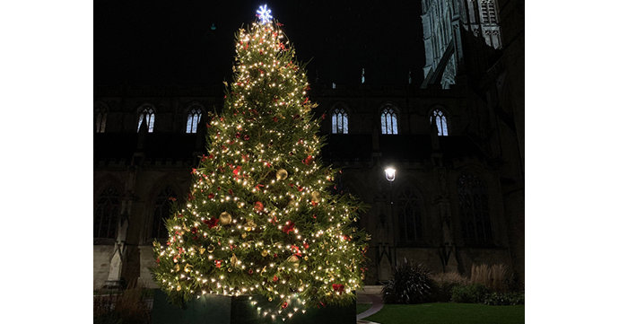 Gloucester Cathedral puts up its biggest ever Christmas tree