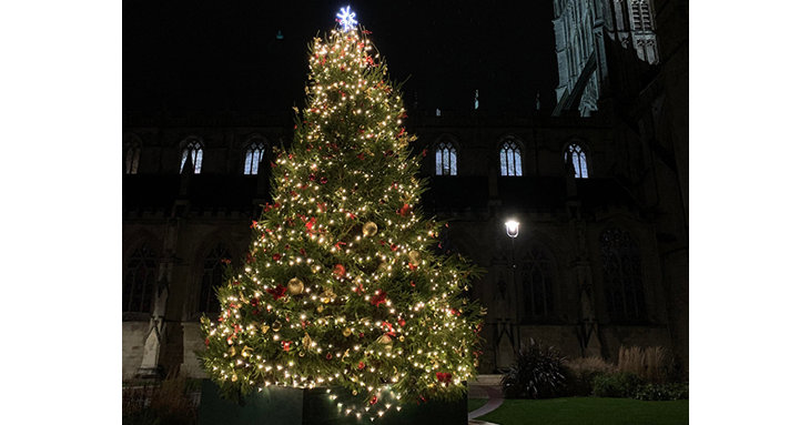 See Gloucester Cathedrals biggest ever Christmas tree outside on Cathedral Green, this December 2021.