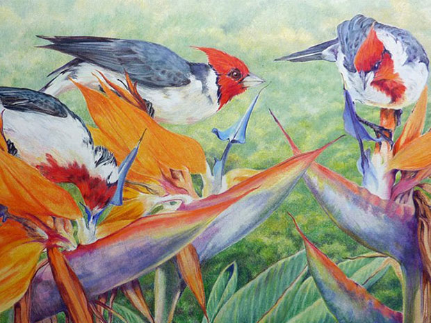 Chapel Arts starts 2018 with its Land, Sea and Sky exhibition. Image by Jackie Cox.