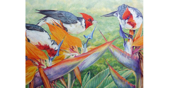 Land, Sea and Sky exhibition at Chapel Arts