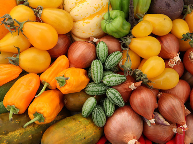 Malvern Autumn Show is cancelled for 2020