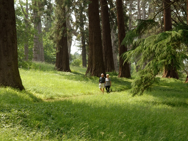 Mellow Mondays at Eastnor Castle