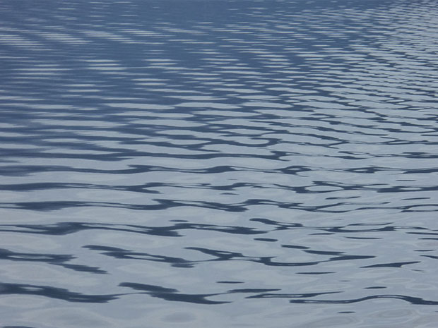 The exhibition will be a treat for the eyes and ears; work by Sally Fawkes.