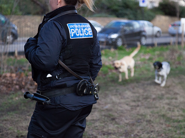 Dognappers will face jail time with new introduction of pet abduction offence.