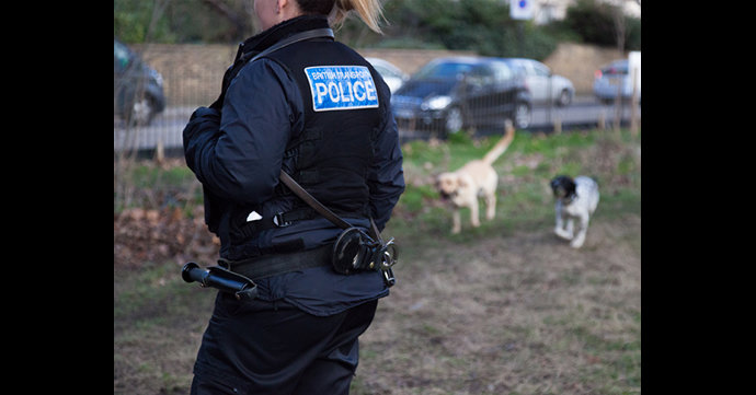 New law means jail time for dognappers in Gloucestershire