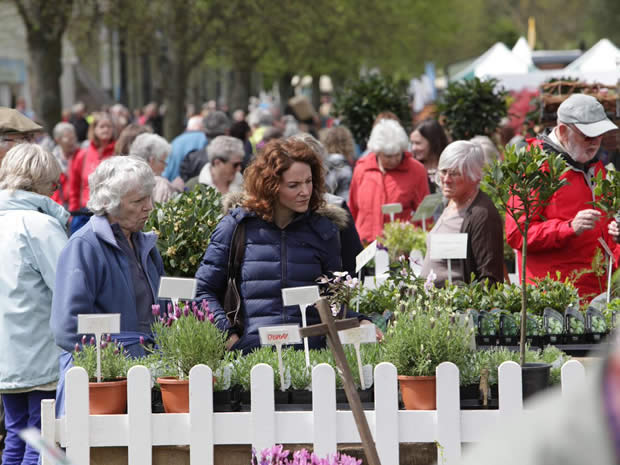 Here's your chance to win tickets to RHS Malvern Spring Festival 2019.