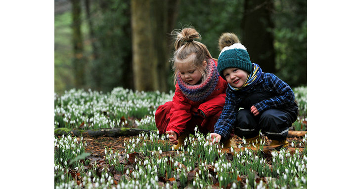 Spot the first signs of spring at Painswick Rococo Garden, as its snowdrops start to bloom this January and February 2022.  Mikal Ludlow