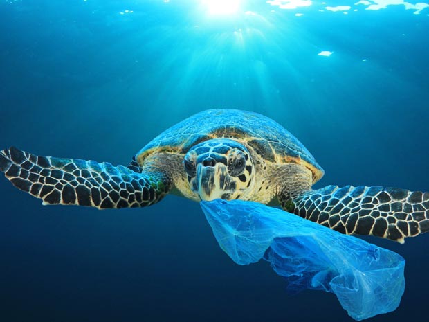 Saving the ocean starts at home, with simple changes you can discuss at The Isbournes latest talk.