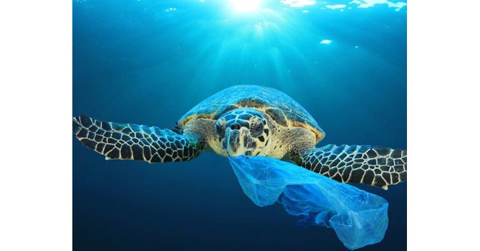 Stop the plastic tide at The Isbourne
