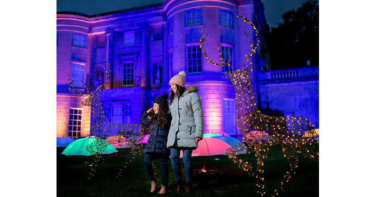 Head to The Enchanted Garden of Light in Bath for a Christmas adventure this December 2021.