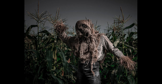 The Walk replaces cancelled Frightmare at Over Farm this Halloween