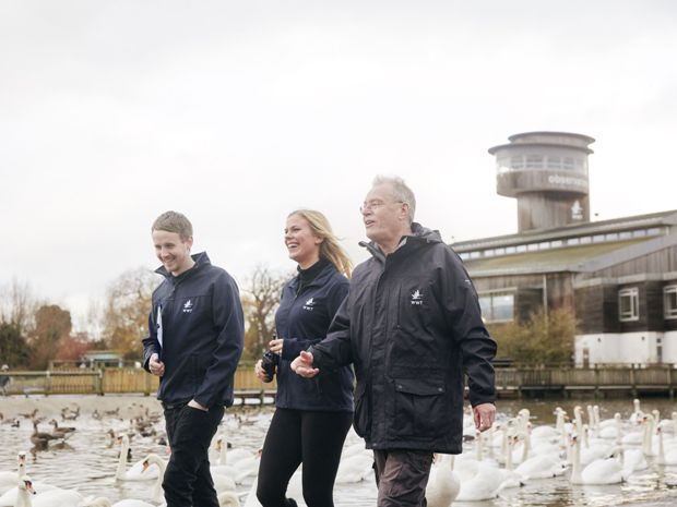 The popular attraction is looking for volunteers to get involved.