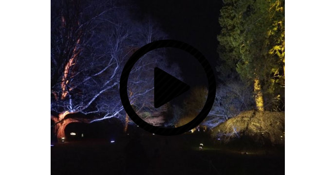 Enchanted Christmas at Westonbirt Arboretum video