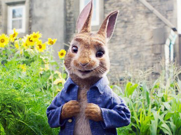 Sherborne Cinema enjoys busiest ever Easter holiday thanks to Peter Rabbit
