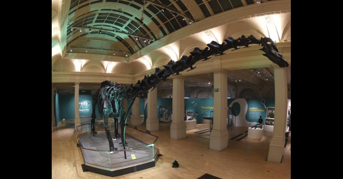 Dippy the Natural History Museum Dinosaur on tour near Gloucestershire
