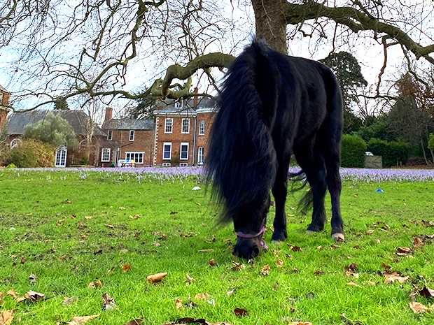 Springtime Discovery Day at Wotton House International School