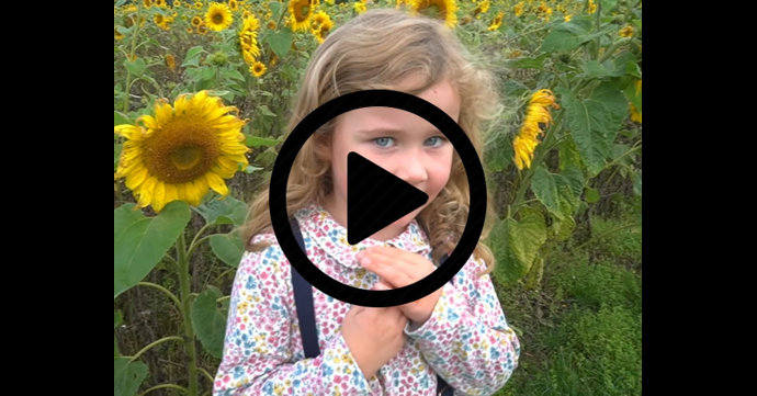 Cotswold Farm Park Sunflower Sundays video
