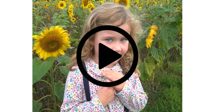 Cotswold Farm Park Sunflower Sundays video
