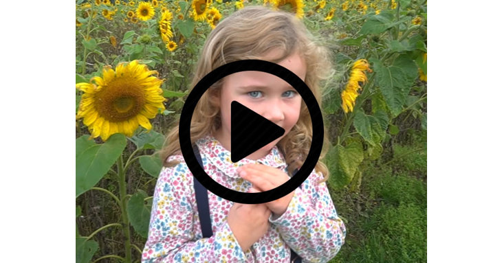 Cotswold Farm Park's sunflower meadow is a great spot for family pictures.