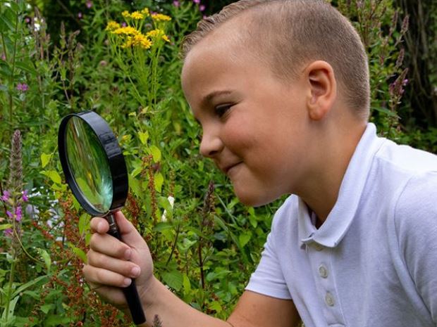 WWT launches new home learning hub