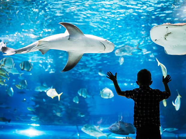 Two for one attraction tickets with GWR