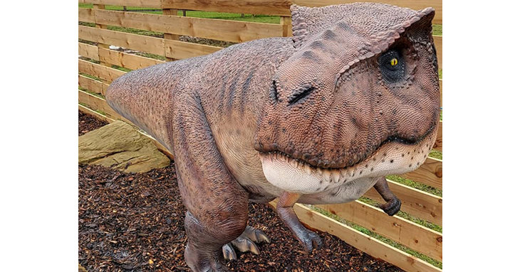 See the new dinosaur exhibition at Catch A Smile in Quedgeley when it reopens in March 2021.