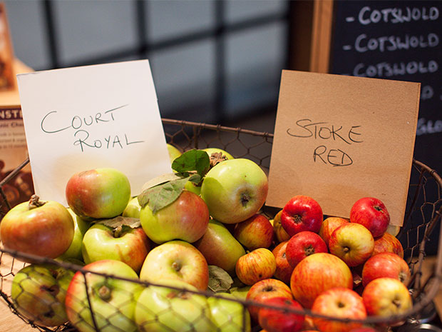 Join in the fun at Dunkertons Cider's Apple Day event.  Mark Brown