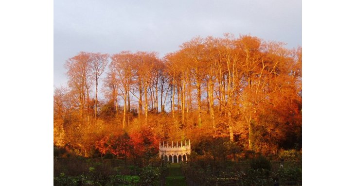 Painswick Rococo Garden will host its annual Autumn Festival this October.