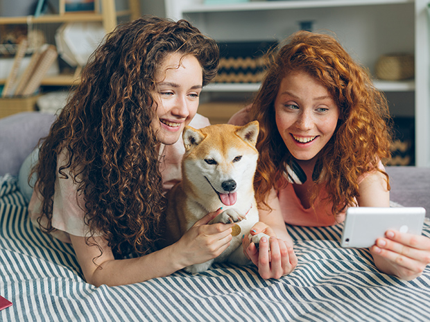 A virtual pet competition is launching in Gloucestershire