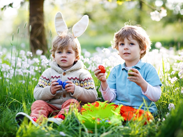 Solve the Bunny challenge to receive a chocolate treat at Newark Park this Easter.