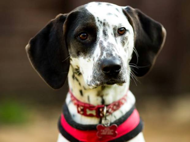 We're thrilled to announce our charity of the year 2018.