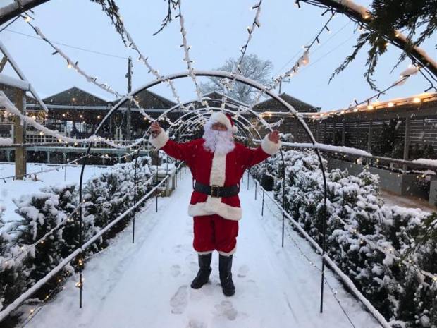 Christmas Grotto at The Fairview Gardener & Tea Room