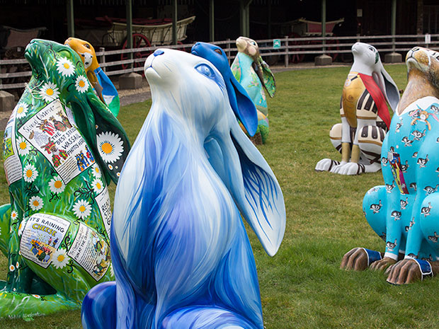 Head off for a day of exciting exploring along the Cotswolds AONB Hare Trail.