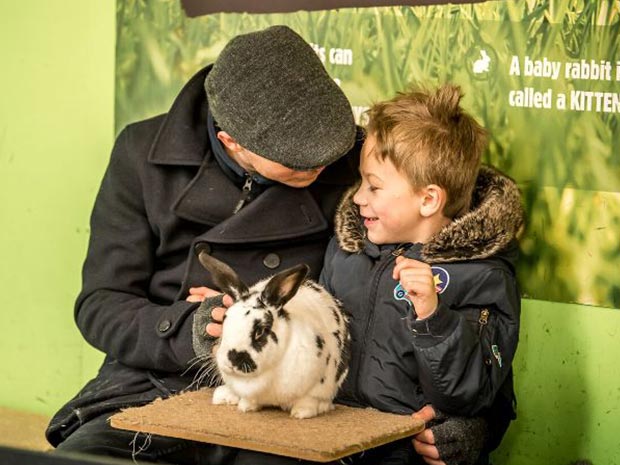 Cotswold Farm Park to offer free entry to Dads on Father's Day 