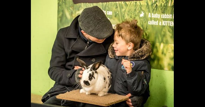 Cotswold Farm Park to offer free entry to Dads on Father&apos;s Day 