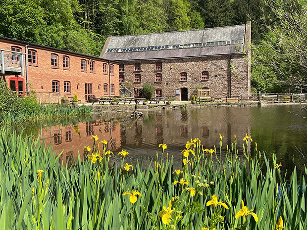 Easter fun at the Dean Heritage Centre